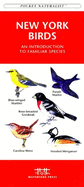 Northeastern Seashore Life: Labrador to Massachusetts