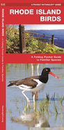 Rhode Island Birds: An Introduction to Familiar Species