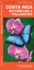 Costa Rica Butterflies & Moths: An Introduction to Familiar Species