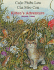 Kitten's Adventure/Cuoc Phieu Luu Cua Meo Con