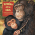Termites on a Stick: A Chimpanzee Learns to Use a Tool