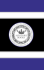 Determining Defense Strategies in Advertising & Marketing Litigation - The Over-Arching Issues You Need to Know (Executive Reports)