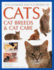 The Ultimate Encyclopedia of Cats, Cat Breeds & Cat Care