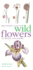 Mitchell Beazley Pocket Guide to Wild Flowers