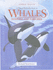 Visual Introduction to Whales (Animal Watch)