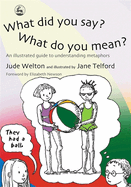 What Did You Say? What Did You Mean?: An Illustrated Guide to Understsnding Metaphors
