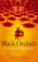 Black Orchids