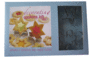 Decorating Cookies Kit