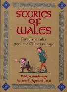 Stories of Wales: Forty-One Tales from the Celtic Heritage