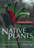 Australian Native Plants