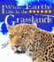 Grassland