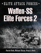 Waffen-SS Elite 2: Hohenstaufen and Grossdeutschland