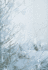 White Christmas
