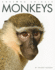 Monkeys