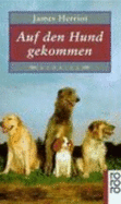 Auf Den Hund Gekommen. Stories