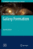 Galaxy Formation