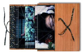 Nobuyoshi Araki, Bondage Book