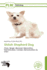Shiloh Shepherd Dog