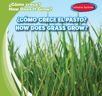 Cmo Crece El Pasto? / How Does Grass Grow?