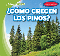 Cmo Crecen Los Pinos? (How Do Pine Trees Grow?)