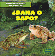 Rana O Sapo? (Frog or Toad?)