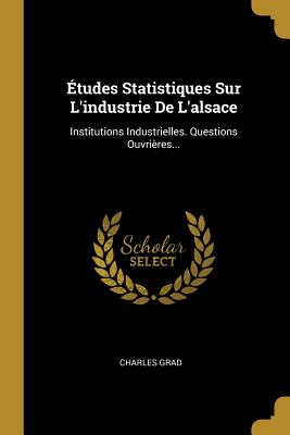 tudes Statistiques Sur L'industrie De L'alsace: Institutions Industrielles. Questions Ouvrires... - Grad, Charles