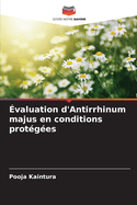 valuation d'Antirrhinum majus en conditions protges