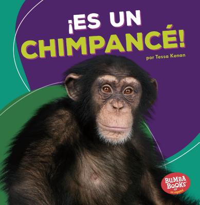 es Un Chimpanc?! (It's a Chimpanzee!) - Kenan, Tessa