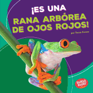 es Una Rana Arb?rea de Ojos Rojos! (It's a Red-Eyed Tree Frog!)