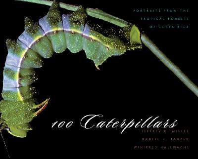100 Caterpillars: Portraits from the Tropical Forests of Costa Rica - Miller, Jeffrey C, and Hallwachs, Winifred, and Janzen, Daniel H