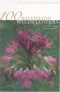 100 Roadside Wildflowers of the Southwest Woodlands