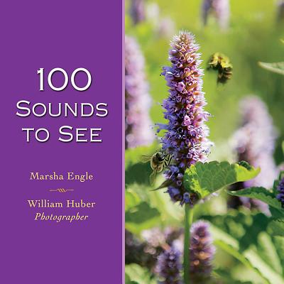 100 Sounds to See - Engle, Marsha, and Huber, William