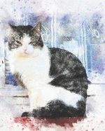 2019-2020 Academic Planner Weekly and Monthly Mellow Cat