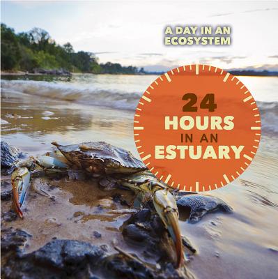 24 Hours in an Estuary - Sullivan, Laura