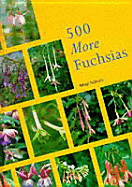 500 More Fuchsias