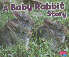 A Baby Rabbit Story