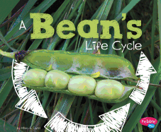 A Beans Life Cycle (Explore Life Cycles)