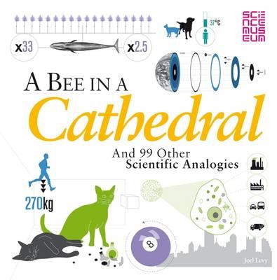 A Bee in a Cathedral: And 99 other scientific analogies - Levy, Joel