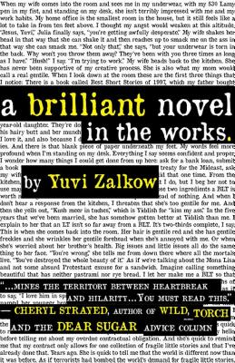 A Brilliant Novel in the Works - Zalkow, Yuvi