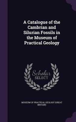 A Catalogue of the Cambrian and Silurian Fossils in the Museum of Practical Geology - Museum of Practical Geology (Great Brita (Creator)