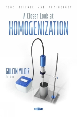 A Closer Look at Homogenization - Yildiz, Gulcin (Editor)