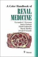 A Color Handbook of Renal Medicine - Fervenza, Fernando C, and Pattison, James, and Goldsmith, David