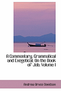 A Commentary, Grammatical and Exegetical, on the Book of Job; Volume I