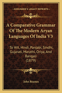 A Comparative Grammar Of The Modern Aryan Languages Of India V3: To Wit, Hindi, Panjabi, Sindhi, Gujarati, Marathi, Oriya, And Bangali (1879)