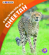 A Day in the Life of a Cheetah: A 4D Book