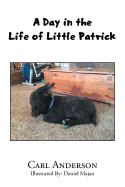 A Day in the Life of Little Patrick