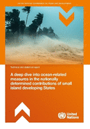 A Deep Dive Into Ocean-related Measures in the Nationally Determined Contributions of Small Island Developing States
