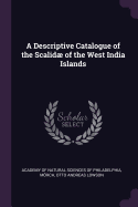 A Descriptive Catalogue of the Scalid of the West India Islands