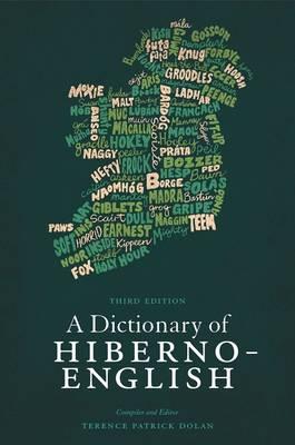 A Dictionary of Hiberno-English - Dolan, Terence Patrick