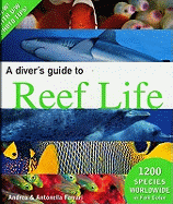 A Diver's Guide to Reef Life
